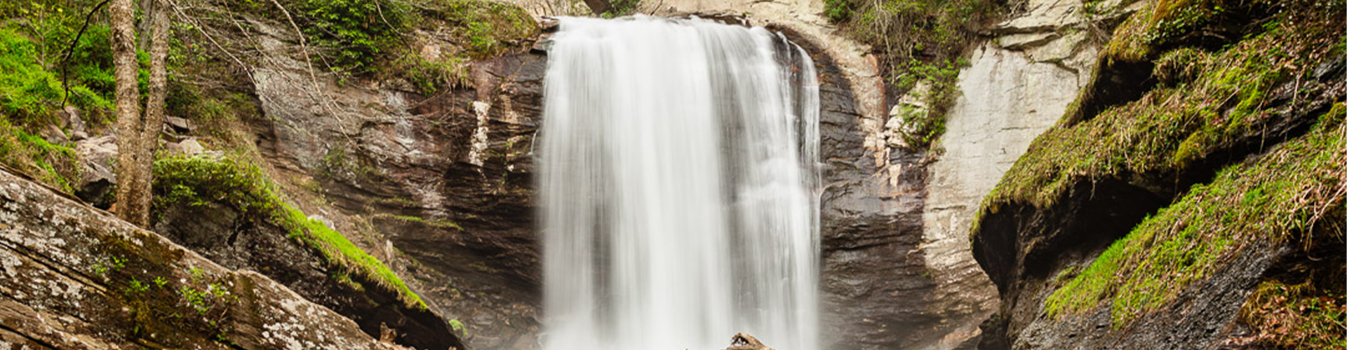 Top Engagement Photo Locations in Asheville